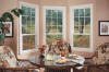 Double Hung Windows
